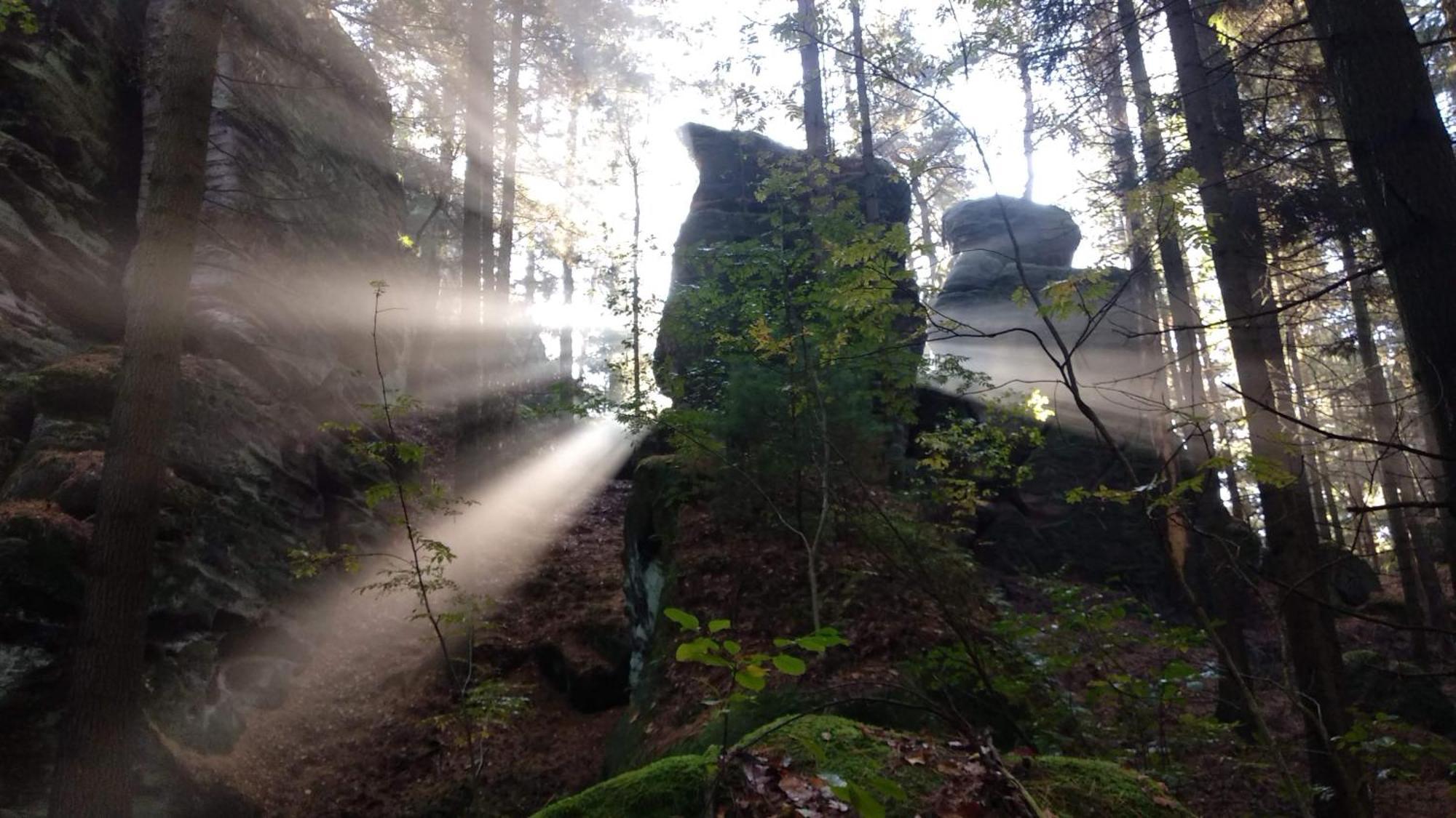 Appartamento U Studanky Koberovy Esterno foto